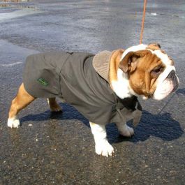 Challenger Bulldog Fleece Lined Dog Coat