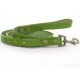 Puchi Pets Crocodile Rocks - matching dog leash