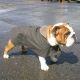 The Challenger Cotton Lined - Bulldog Coat