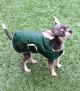 The Scamp - Fleece lined Dog Coat - styled for small dogs