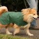 The Quickie - Waterproof Cotton Lined Dog Coat