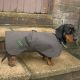 The Challenger Cotton Lined - Daxi Dog Coat- 25cm / 16cm - Clearance