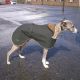 Challenger Fleece Lined Whippet Dog Coat