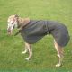 The Challenger Cotton Lined - Hounds Dog Coat