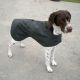 The Challenger - Cotton Lined Dog Coat