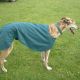 The Quickie - Dog Coat - Hounds