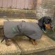 Challenger Fleece Lined  Dachshund Dog Coat
